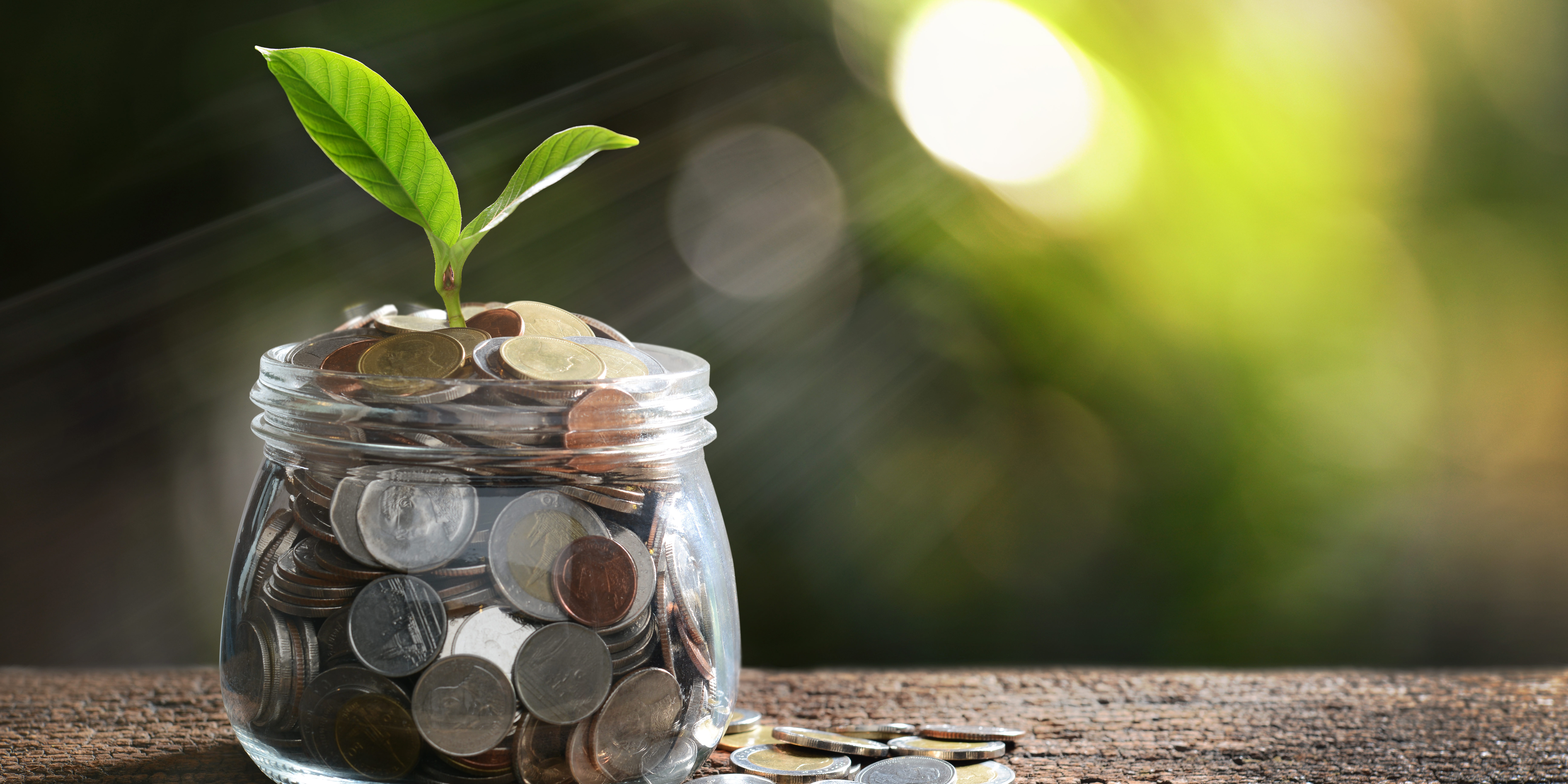 business-concept-P66UBLD