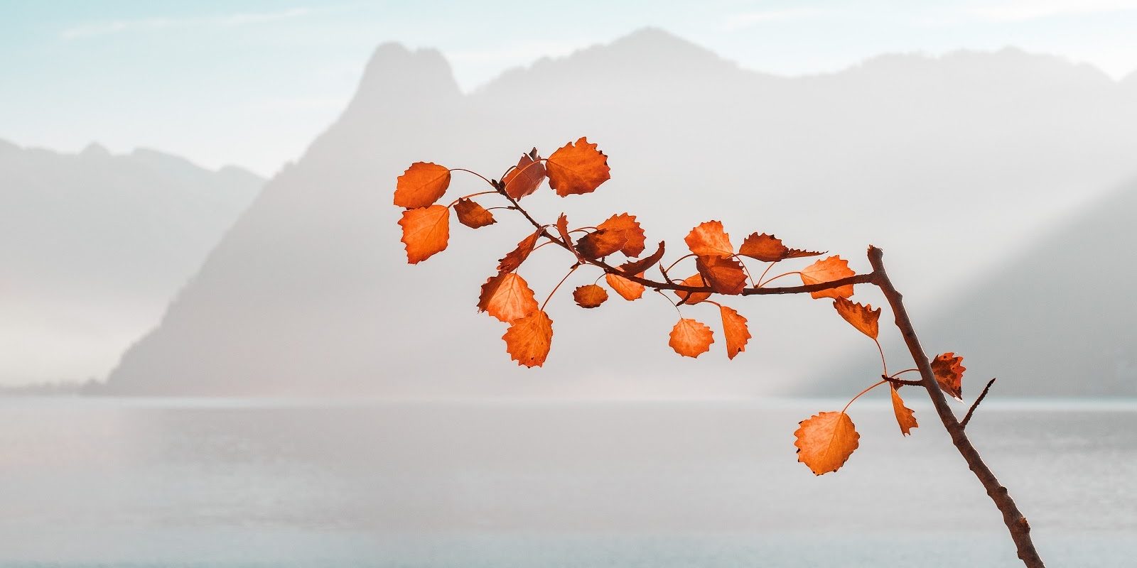 simon-matzinger-Qa2tSHWgh84-unsplash