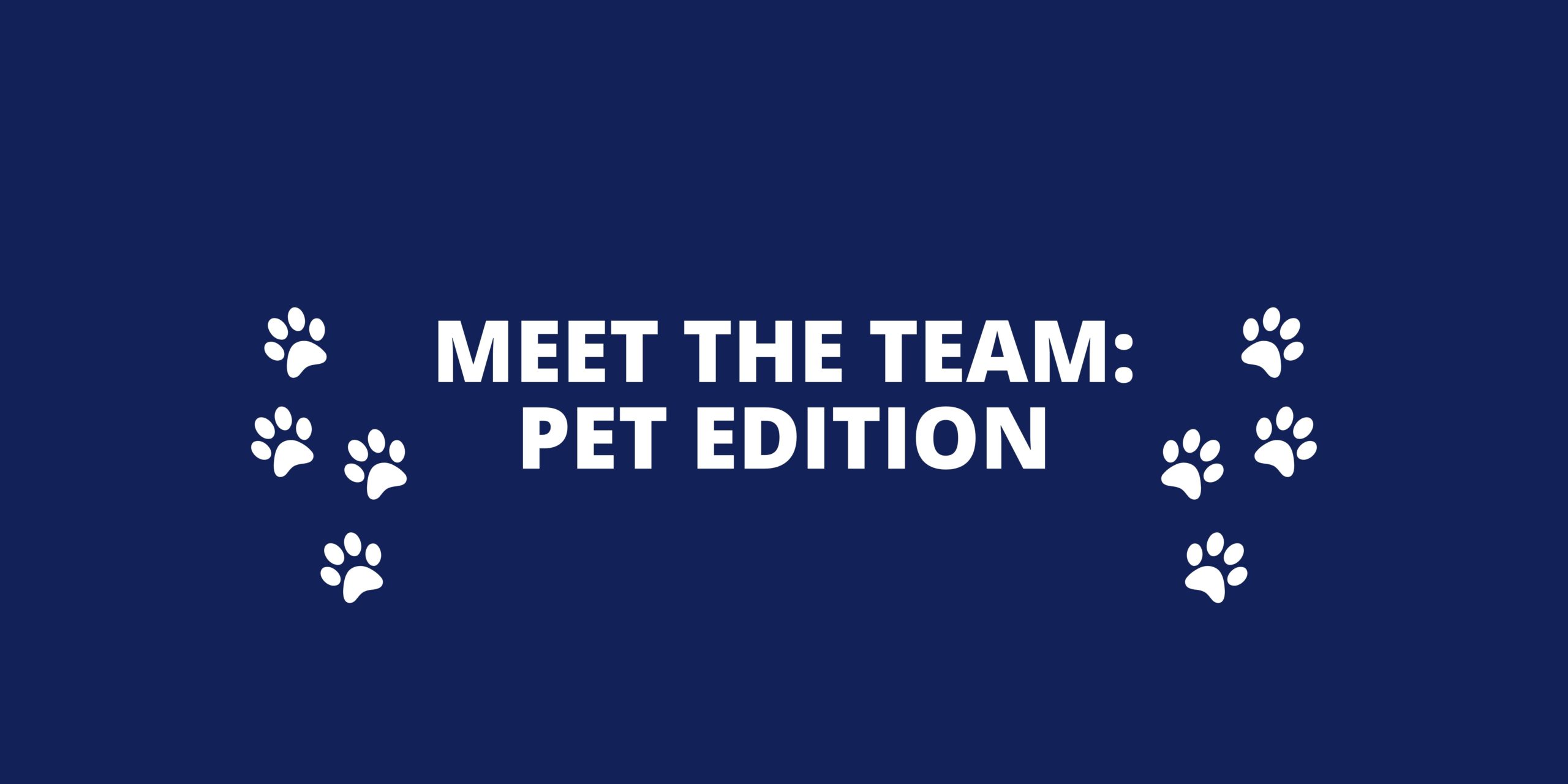MEET THE TEAM PET EDITION meet the team