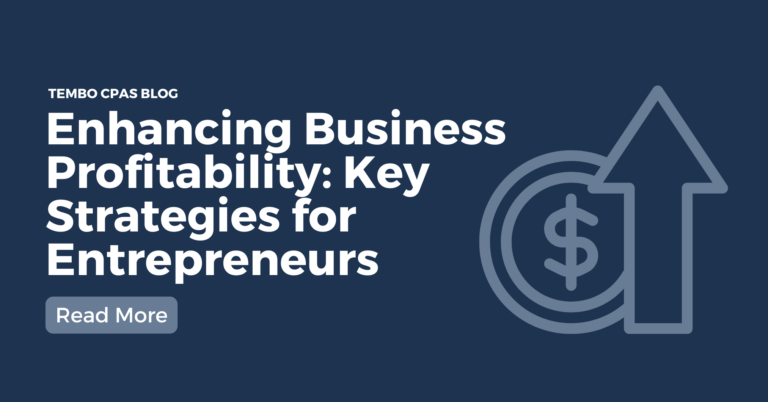 Tembo CPAs BLOG Cover (2)